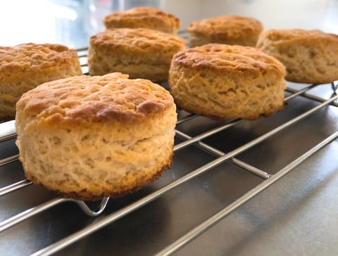 ビスケットーバターミルクパウダー