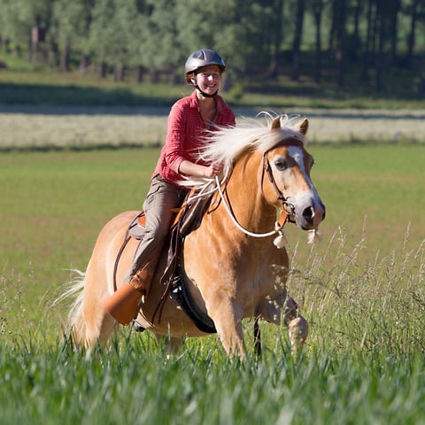 Anna van de Kasteele