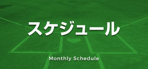 スケジュール