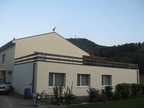 Während rund zwei Wochen war der Storch im Wolfig zu Gast.