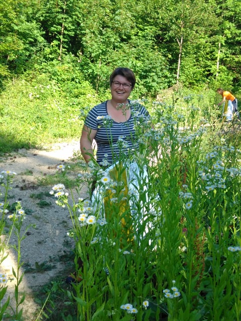 Sandra füllt einen Düngersack mit dem Einjährigen Berufkraut.