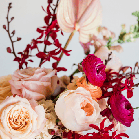 山岡真千子　料理家　料理研究家　親子料理教室　子供料理教室　エムズレッスン