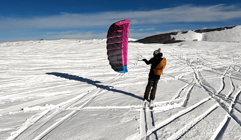 Parawing Ensis Roger