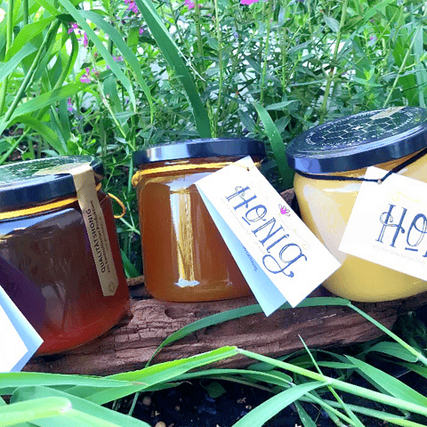 Schweizer Honig Aargau Zofingen Safenwil Kölliken Olten