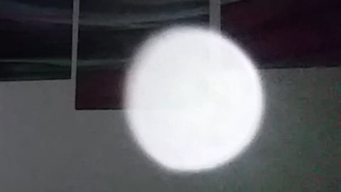 Foto© Petra Hammer www.lichtderwelt.at