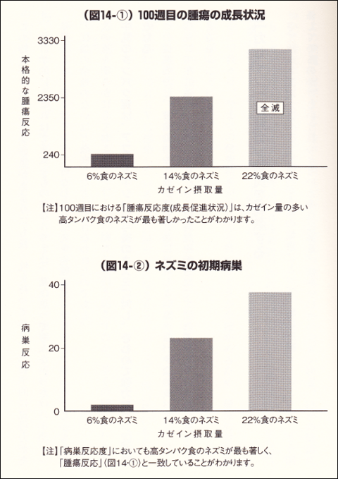 癌とカゼインの関係ラットの実験