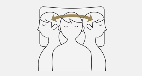 首部頭部２分割構造説明図