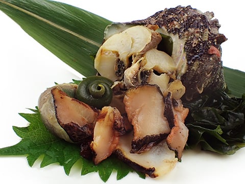 サザエのお刺身　肝付