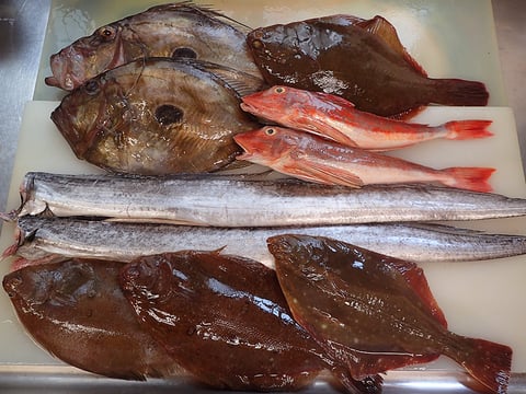 港区　寿司　出前