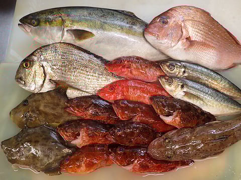 出前館　宅配寿司　デリバリー