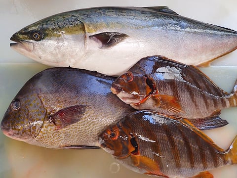 お彼岸　寿司　出前