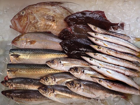 お彼岸　寿司　出前