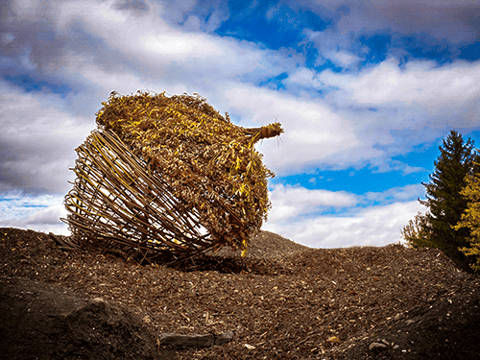 Terre d'accueil - Landart  2018