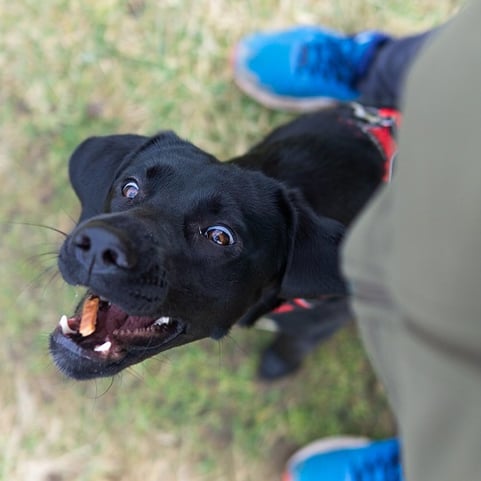 Foto von Tisch mit Bildschirm