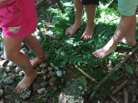 Fichtenzapfen, Farnblätter, Steine – jedes Feld ein unterschiedliches Erlebnis für die Füße, Foto: Kathrin Lichtenauer