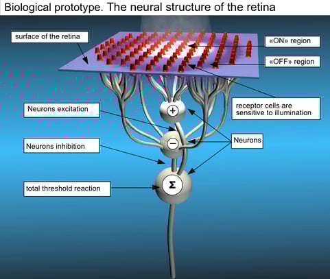 Google "neurone"