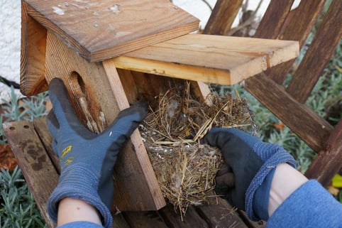 Nistkastenpflege (Foto: Peter Bria, LBV Bildarchiv)