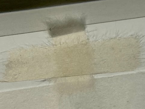 Fixierung im Passepartout mit Falz aus Feinpapier. 