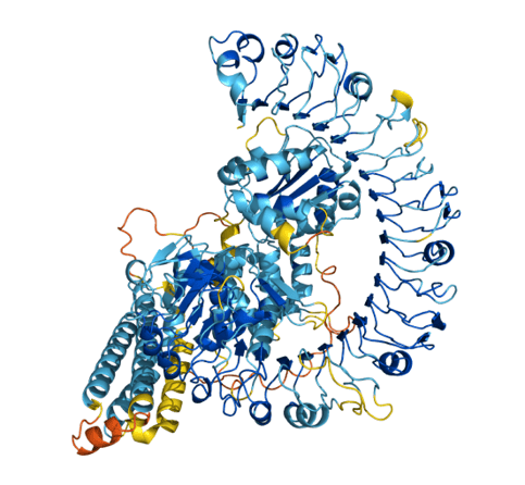 AlphaFold2 protein structure database