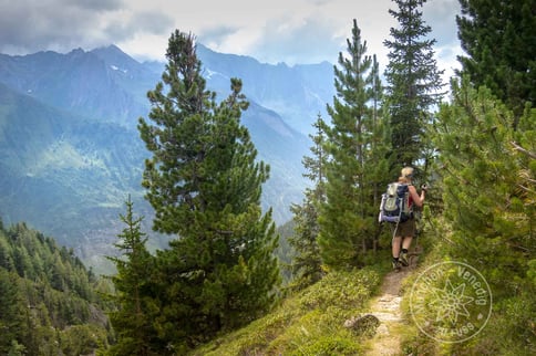 Wanderin unterwegs auf schmalem Pfad gesäumt mit Nadelbäumen