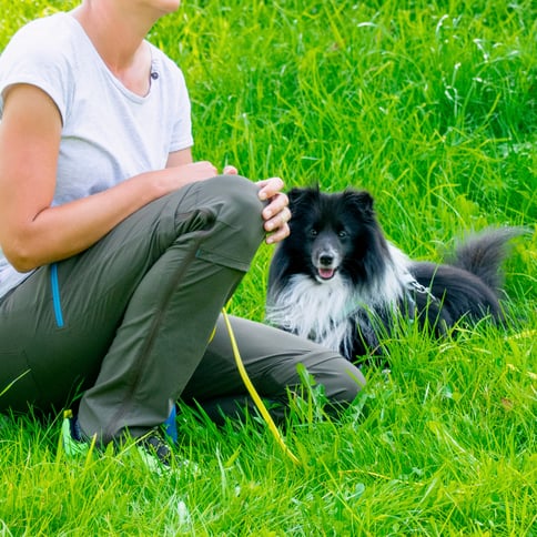 Foto ©️Corinne Keller