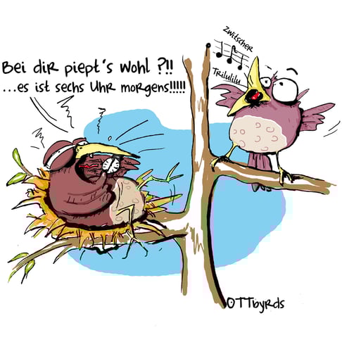 ruhestörung, gezwitscher, redewendungen, schlafsstörung, ottbyrds, early bird