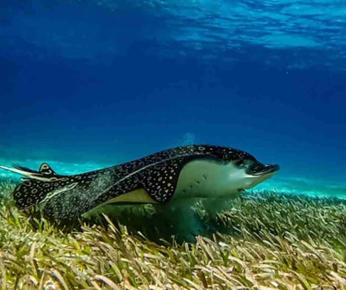 Photo Credits: Adriana Lara