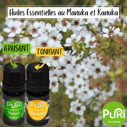 Flacos Huile Essentielle au Manuka & Kanuka 5ml : apaise & tonifie sous fond de fleurs de Manuka de Nouvelle-Zélande