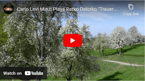 Carlo Levi Minzi plays Ratko Delorko