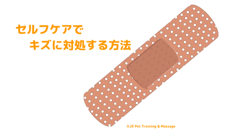 セルフケアでキズに対処してみる