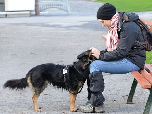 Hundetrainerin Colette mit ihren 2 weißen Schäferhündinnen