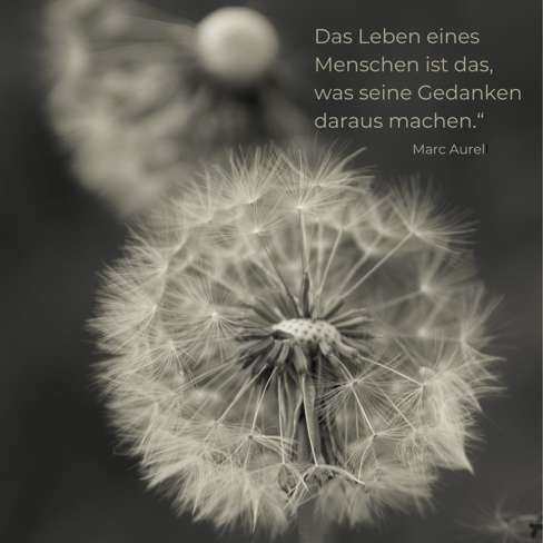 Das Leben eines Menschen, ist das, was seine Gedanken daraus machen