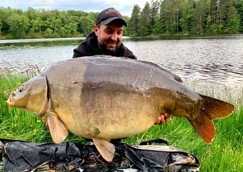 record carpe Damien Ruffaud 