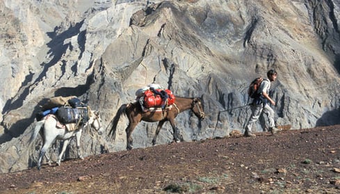 Thomas Zwahlen, Trekking in Ladakh, mit eigenen Pferden