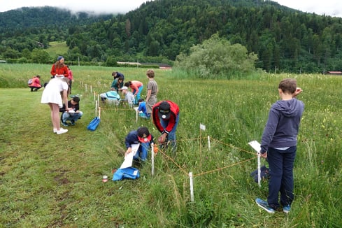 Erforschung von Wiesenquadraten, Foto: Birgit Weis