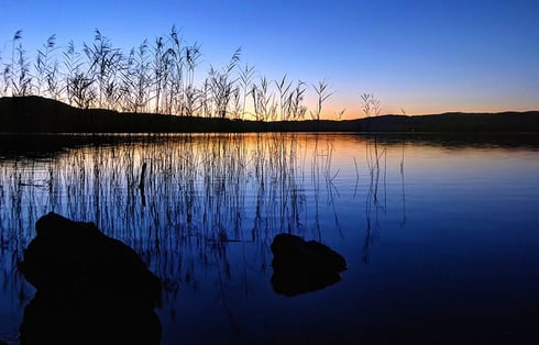 Hohe Horizontlinie (Betonung der Halme und der Spiegelung), die Halme nehmen die linken 2/3 des Bildes ein: Abendstimmung am Kochelsee