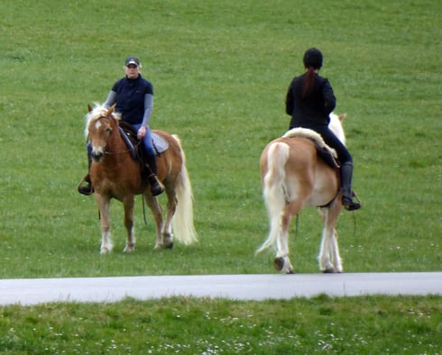 28-facher Zoom (678 mm), aus der Hand fotografiert!! Programm "P", ISO 400, Mehrfeldmessung, keine weiteren Einstellungen.