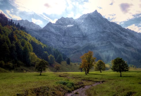 Herbstlicher Ahornboden (aufgenommen am 28.09.2013)