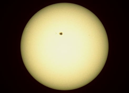 Sonnenfleck AR 2529 am 13.04.2016 aufgenommen mit meiner Nikon P900. Die helleren Flecken im linken Randbereich sind sog. Sonnenfackeln (solar faculae).