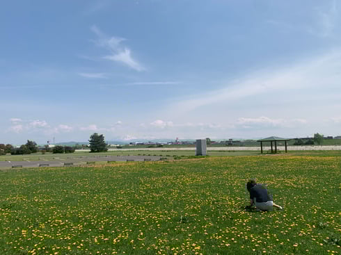空の面積が多いのは、いいことです