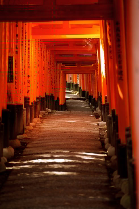 FUSHIMI INARI SCHREIN