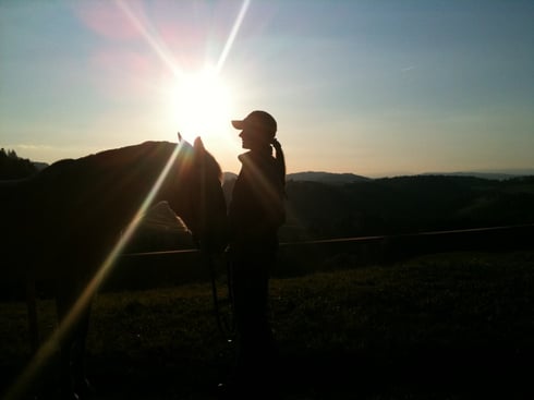 Zwiesprache im Gegenlicht