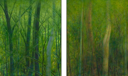 「森の相（春）　森の相（秋）」　阿部　清　Ｆ100×２
