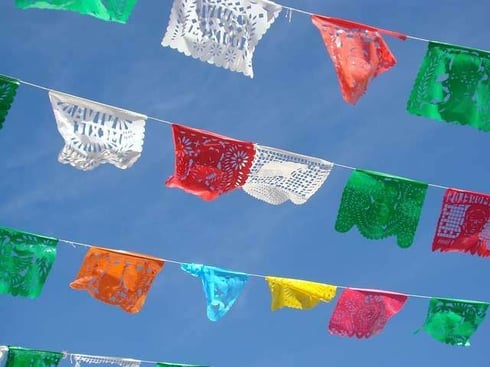 真夏の強さには負けない元気さで対応