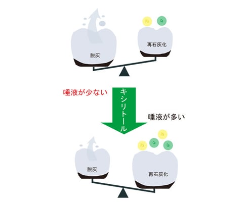 キシリトールと唾液の関係