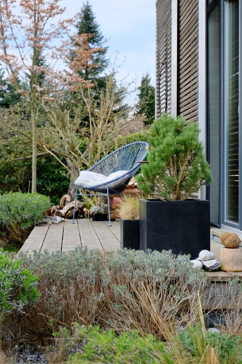 dieartigeGARTEN // März, Wintergarten - Westterrasse+Lavendel, Kiefer, Sommerflieder+Felsenbirne