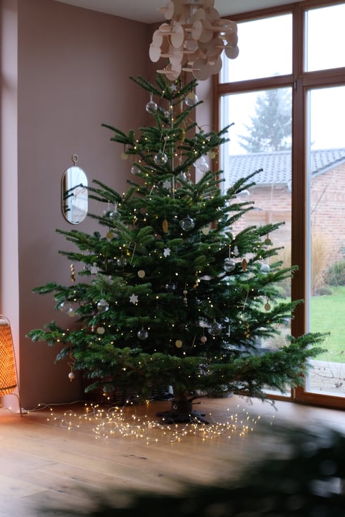 dieartigeBLOG // Wohnzimmer im Dezember, Weihnachtsbaum 2019, Nordmanntanne - nachhaltig + frisch geschlagen