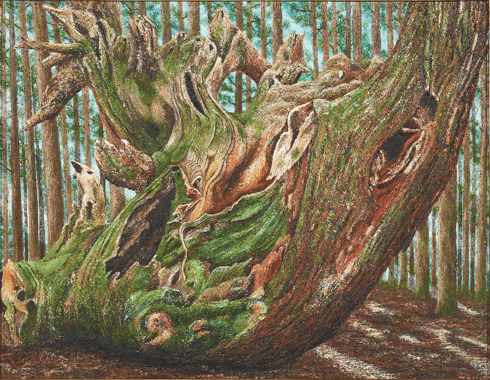 「樹塊」　F50　長尾　千裕