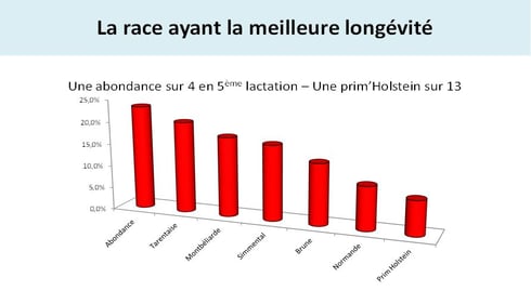 Graphique sur la race Abondance ayant la meilleure longévité