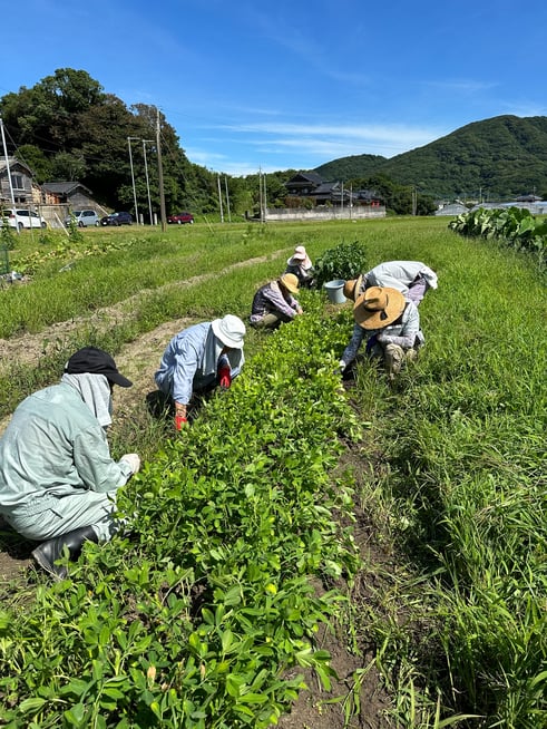 雑草取りもして帰りました